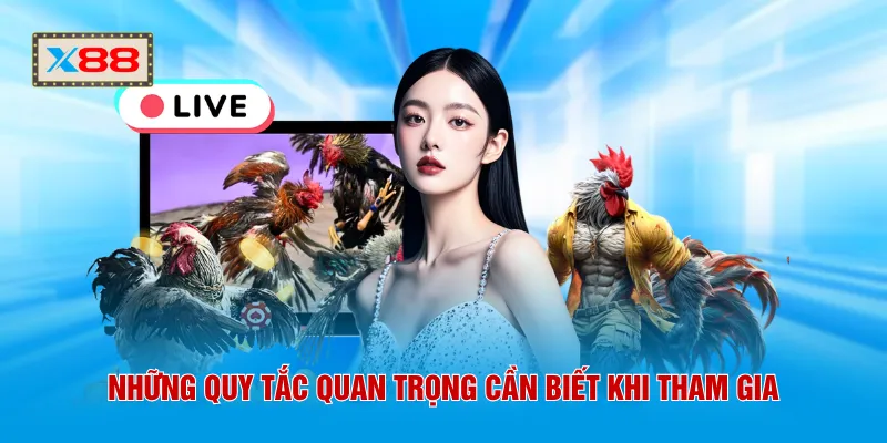 Những quy tắc quan trọng cần biết khi tham gia